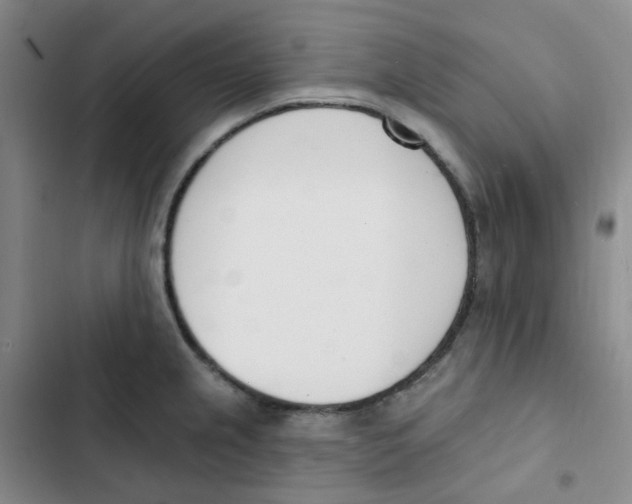 X0000102851237200809151120