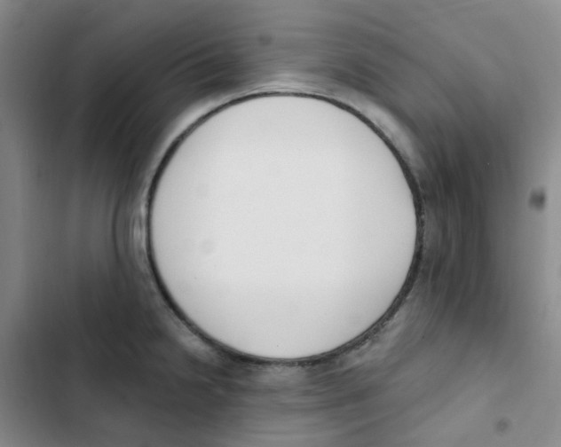 X0000102851238200809151120