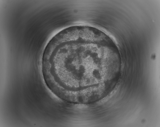 X0000102851239200809151120