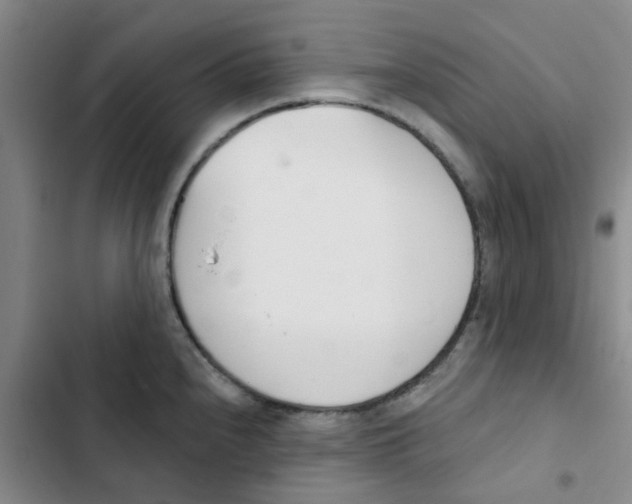 X0000102851240200809151120