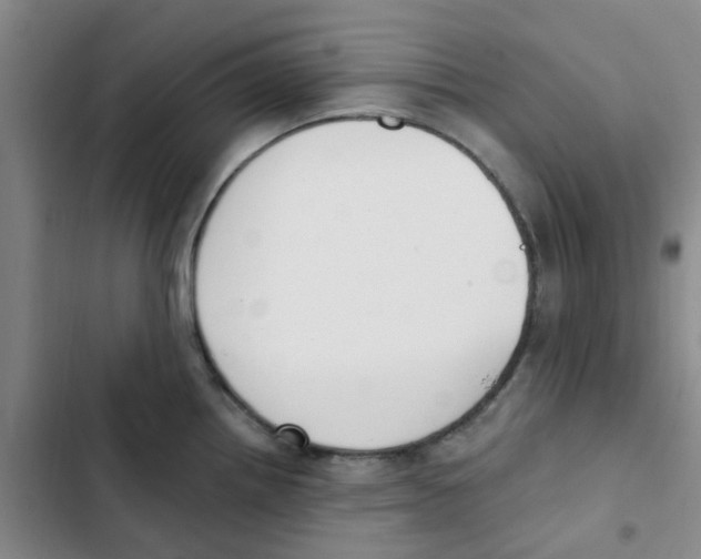 X0000102851242200809151120