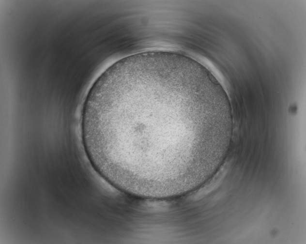 X0000102851243200809151120