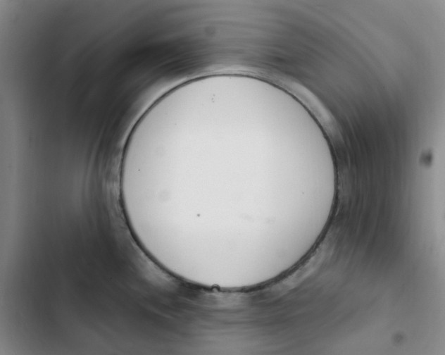 X0000102851244200809151120