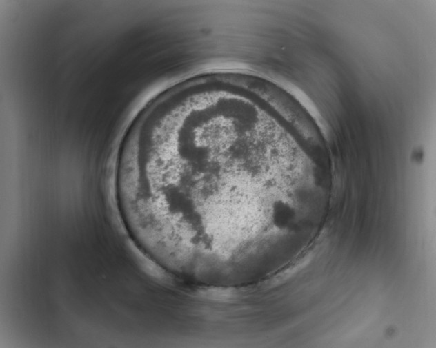 X0000102851245200809151120