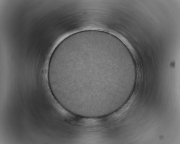 X0000102851246200809151120