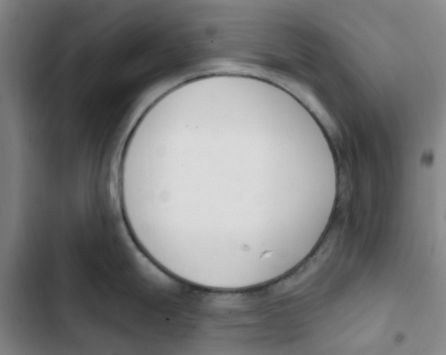 X0000102851247200809151120