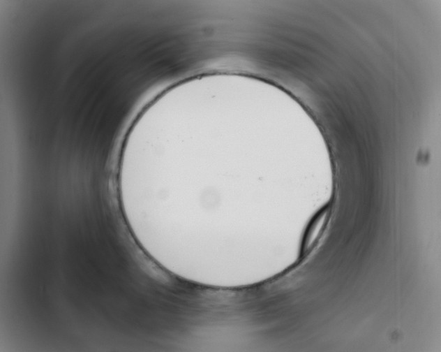 X0000102851248200809151120