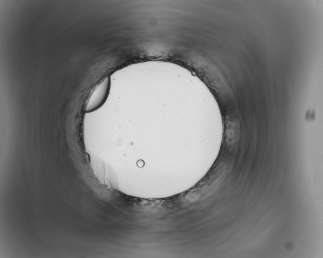 X0000102851249200809151119