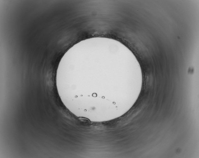 X0000102851250200809151119