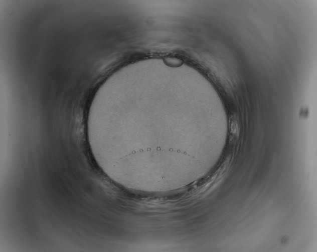 X0000102851252200809151119