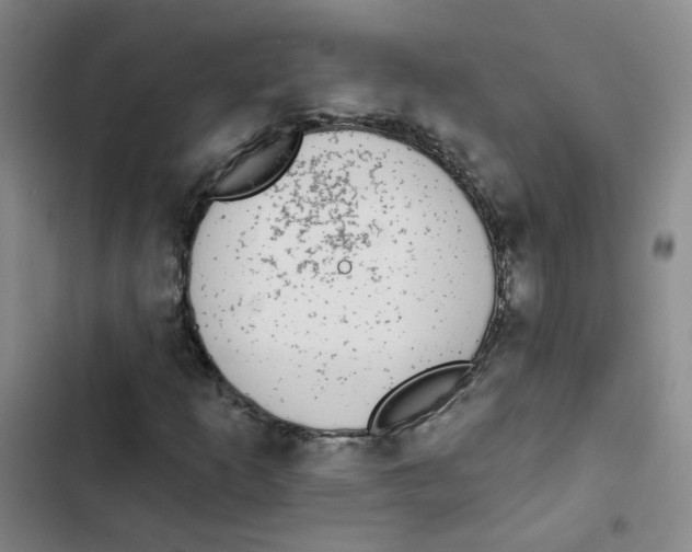 X0000102851253200809151119