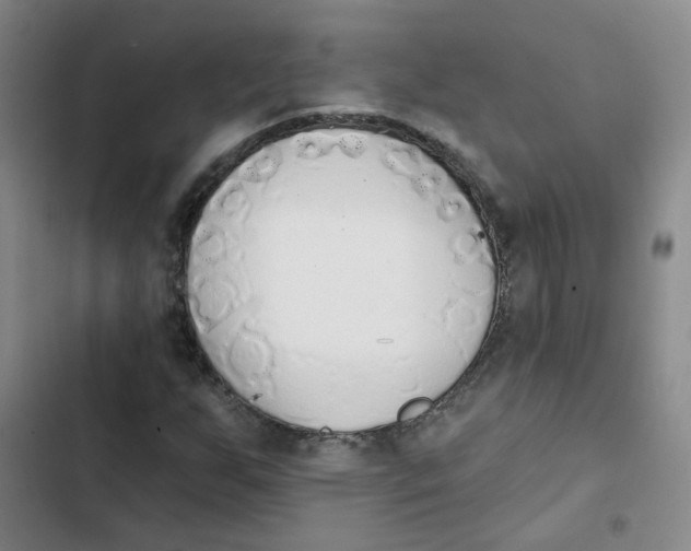 X0000102851255200809151119