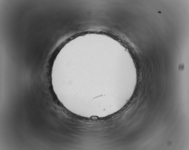 X0000102851256200809151119