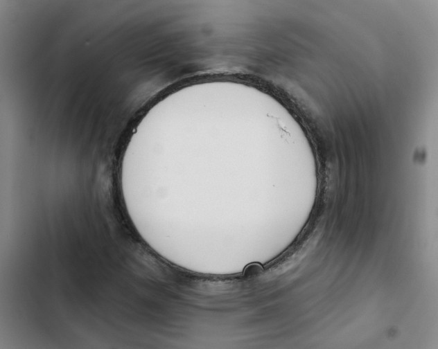 X0000102851257200809151119