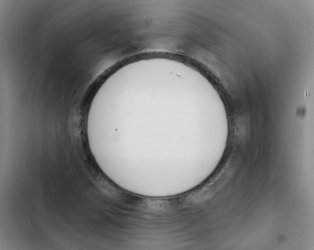 X0000102851258200809151119