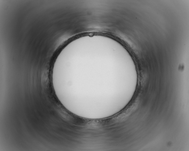 X0000102851259200809151119