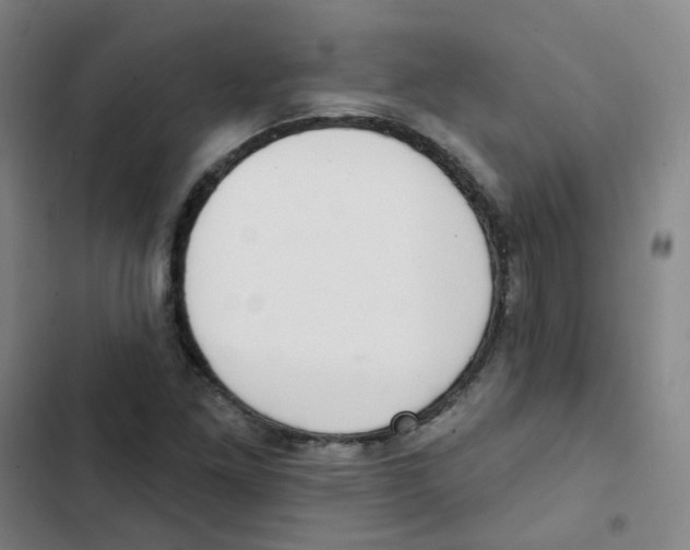 X0000102851261200809151119