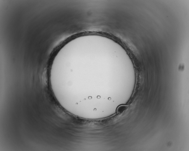 X0000102851262200809151119