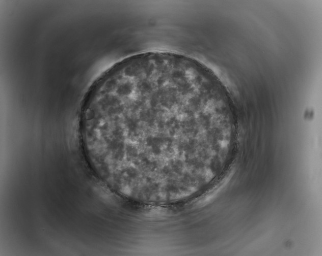 X0000102851263200809151119