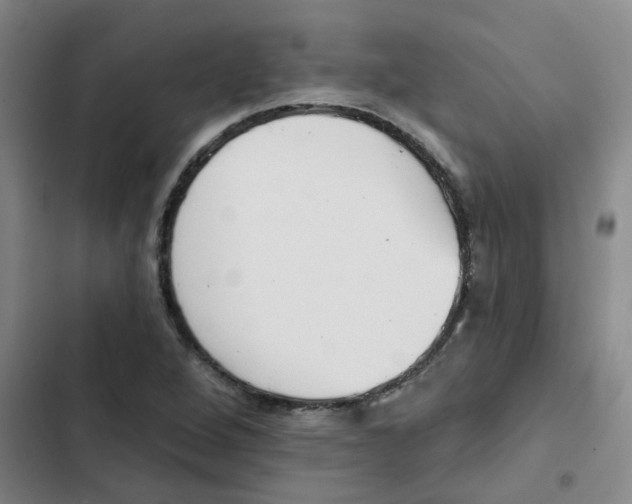 X0000102851264200809151119