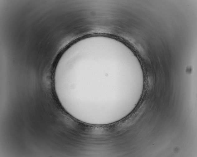 X0000102851266200809151119