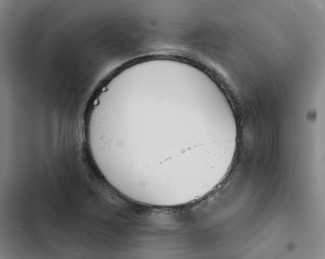 X0000102851267200809151119