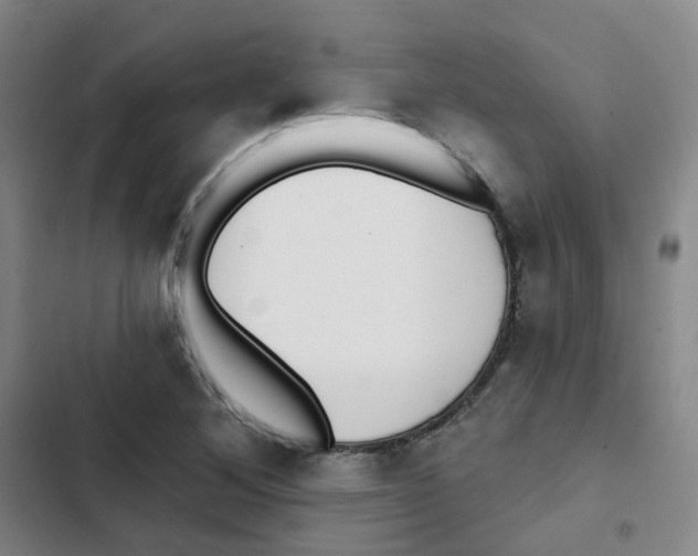 X0000102851268200809151119