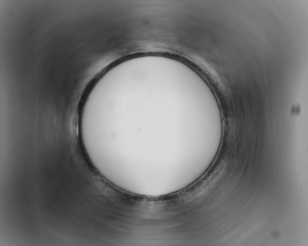 X0000102851269200809151119