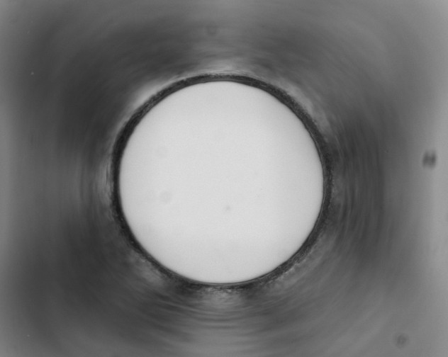 X0000102851270200809151119