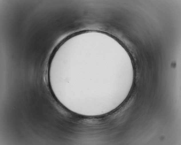 X0000102851272200809151119