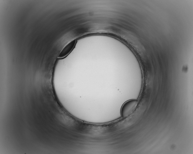 X0000102851273200809151119