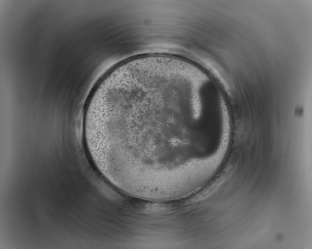 X0000102851275200809151119