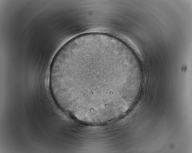 X0000102851276200809151119