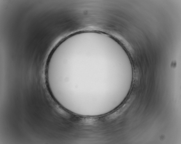 X0000102851278200809151119