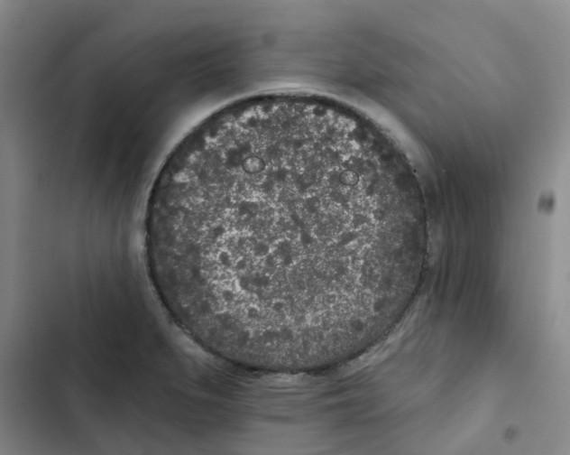 X0000102851279200809151119