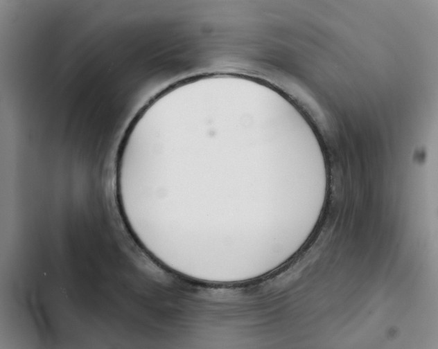 X0000102851280200809151119