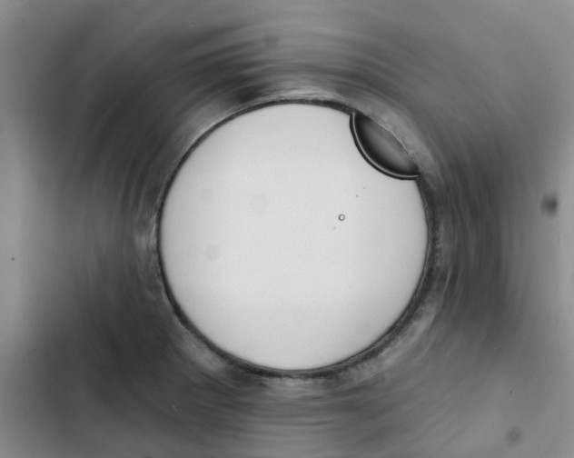 X0000102851281200809151119