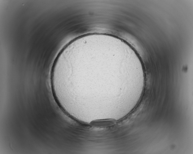 X0000102851283200809151119