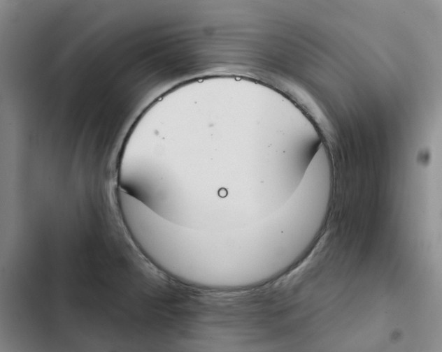 X0000102851284200809151119