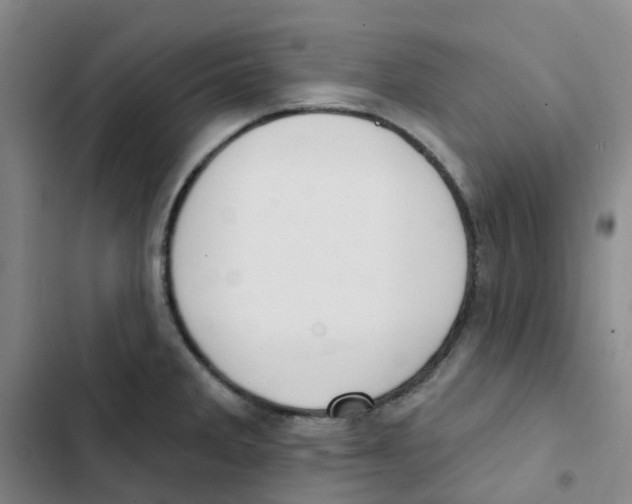 X0000102851285200809151119