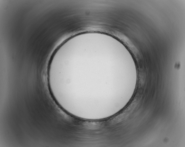 X0000102851286200809151119