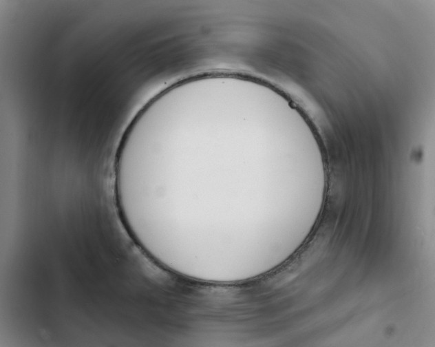 X0000102851287200809151119