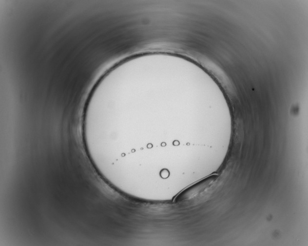 X0000102851288200809151119