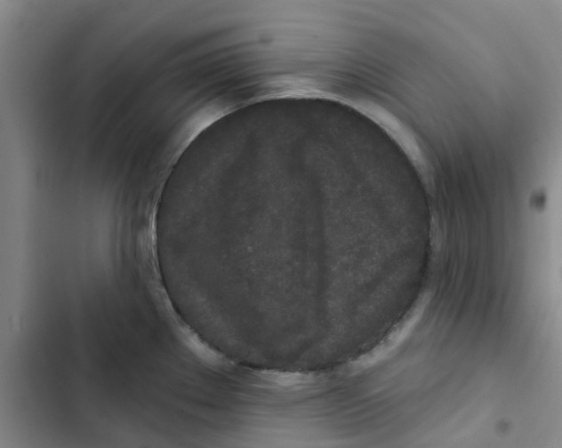 X0000102851289200809151119