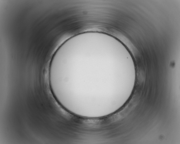 X0000102851290200809151119