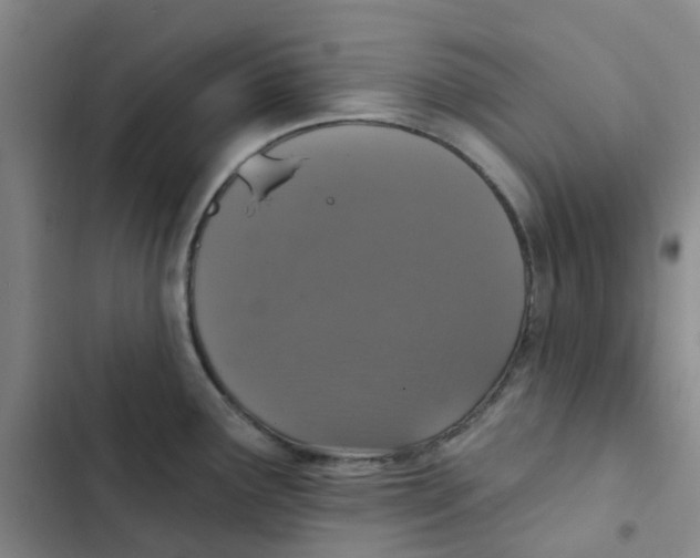 X0000102851291200809151119