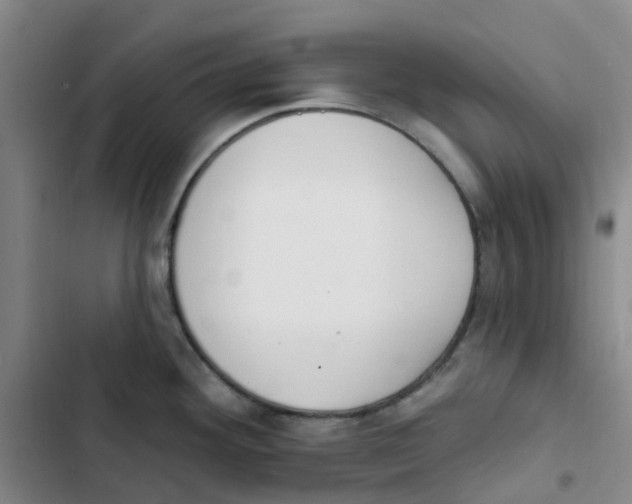 X0000102851292200809151119