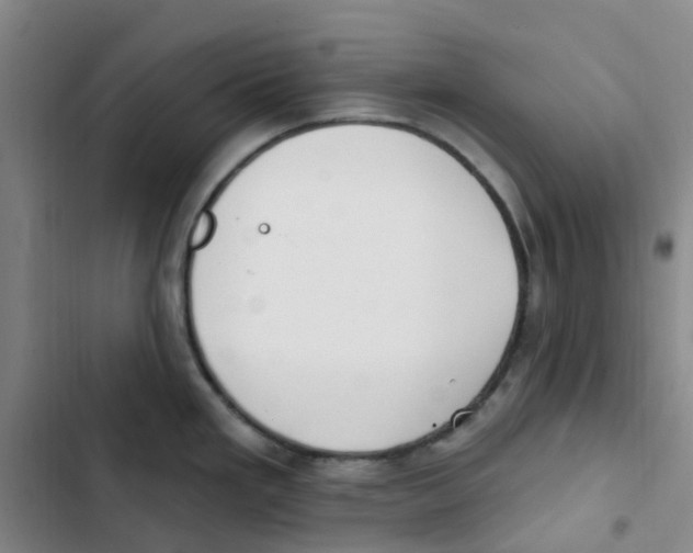 X0000102851293200809151119