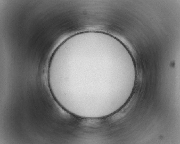 X0000102851294200809151119