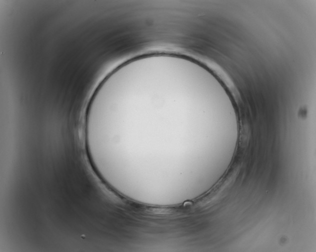 X0000102851295200809151119